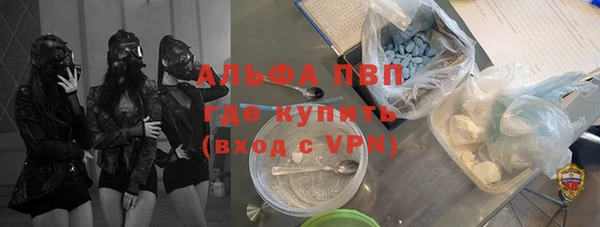 дживик Белокуриха