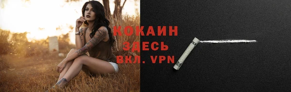 дживик Белокуриха