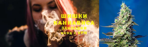 дживик Белокуриха