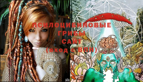 дживик Белокуриха