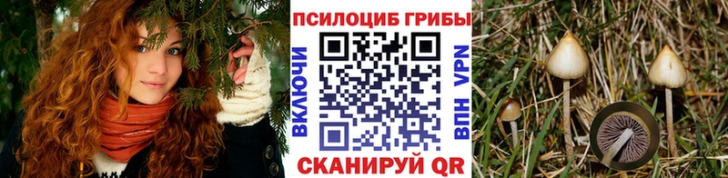 Псилоцибиновые грибы мицелий  Разумное 